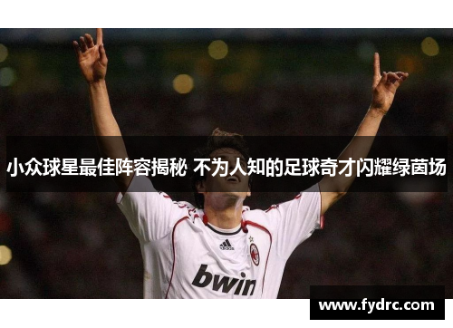 小众球星最佳阵容揭秘 不为人知的足球奇才闪耀绿茵场