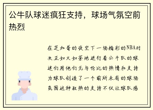 公牛队球迷疯狂支持，球场气氛空前热烈